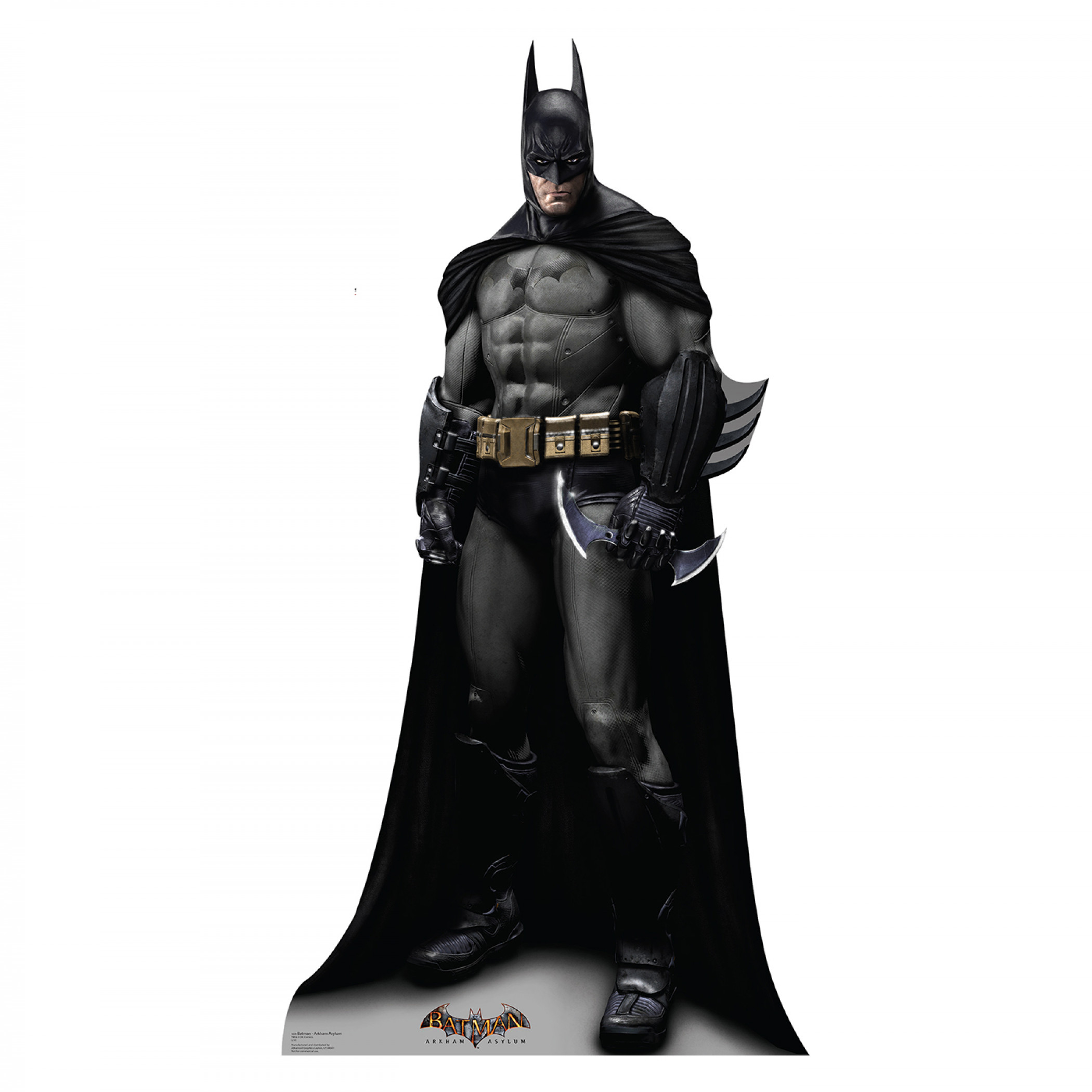 Batman Arkham Asylum Cardboard Stand Up