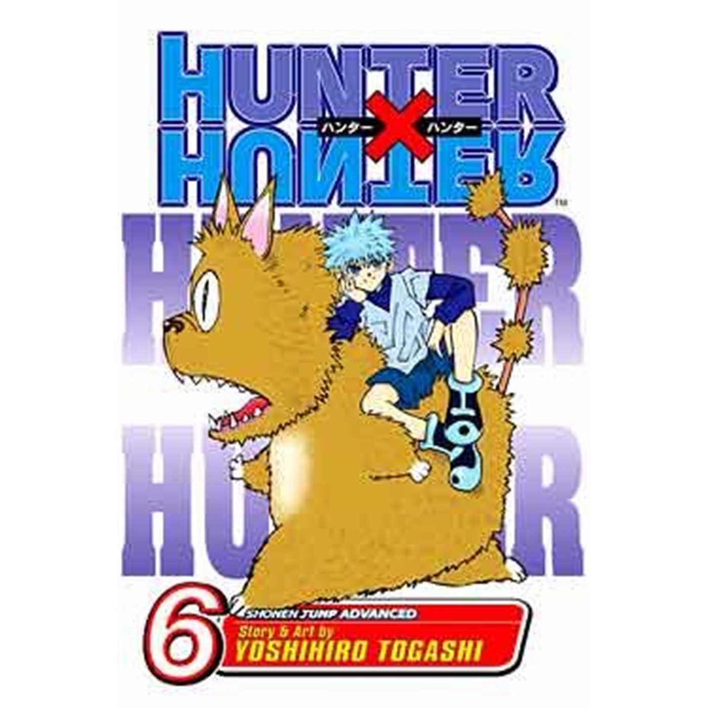 Hunter x Hunter, Vol. 6