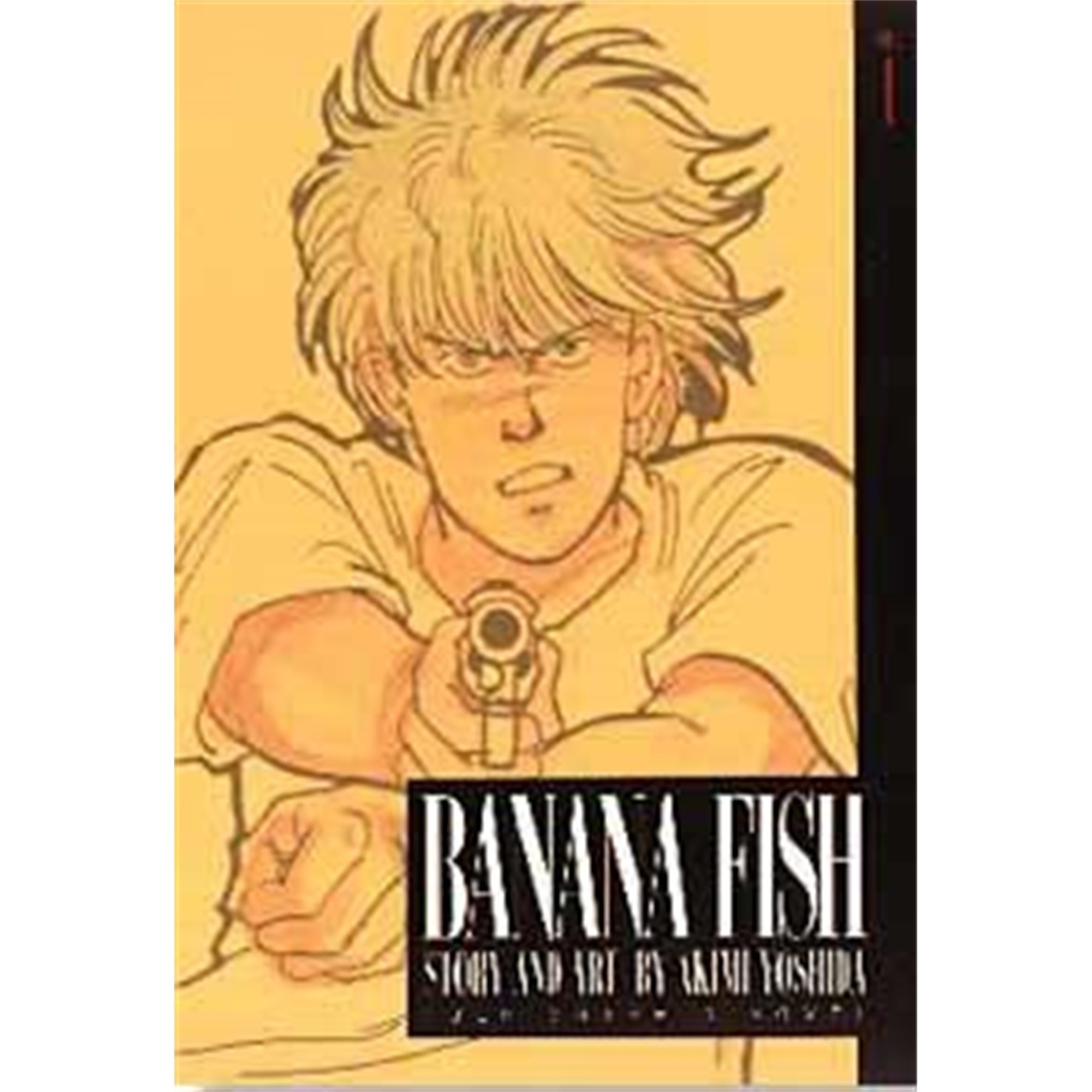 Banana Fish Manga Volume 2