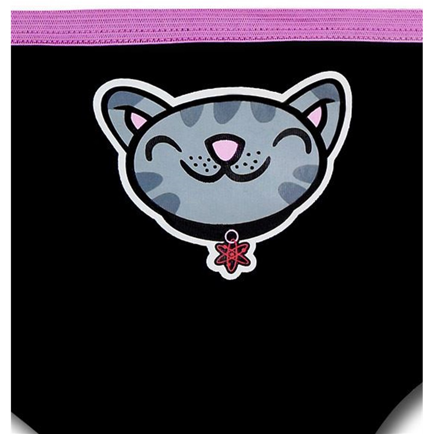 Big Bang Theory Soft Kitty Women's Hipster Briefs 3-Pack