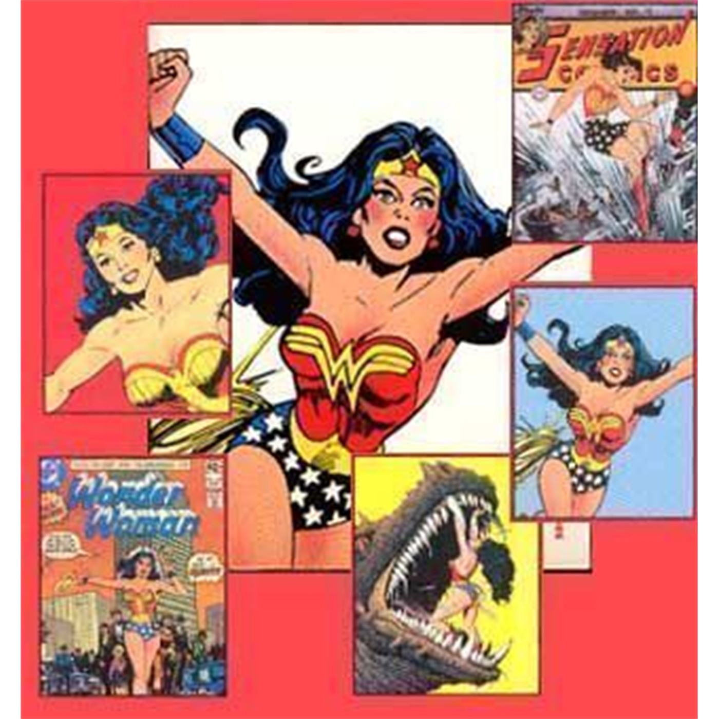 Wonder Woman Note Cards 12.95