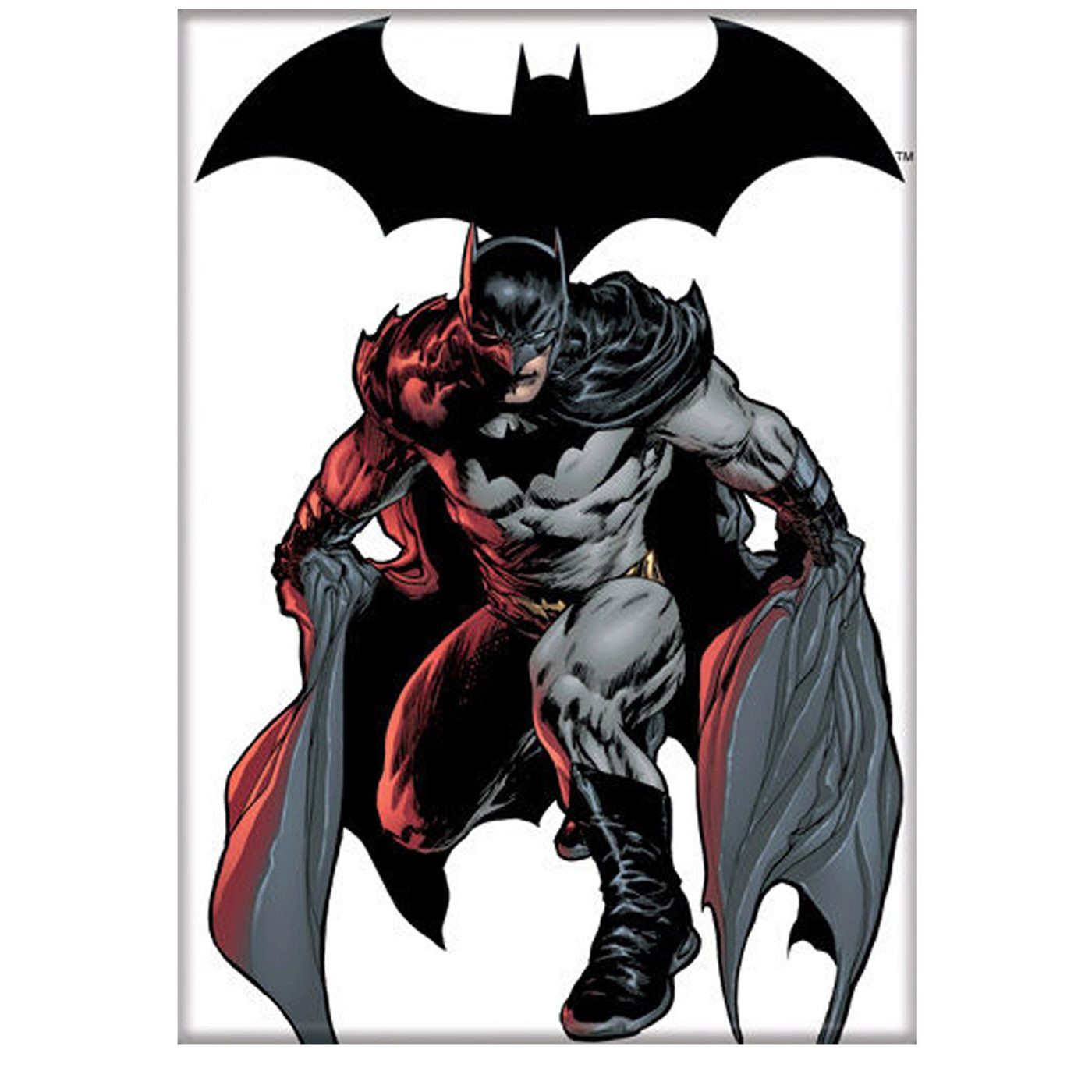 Batman #706 Crouch White Magnet