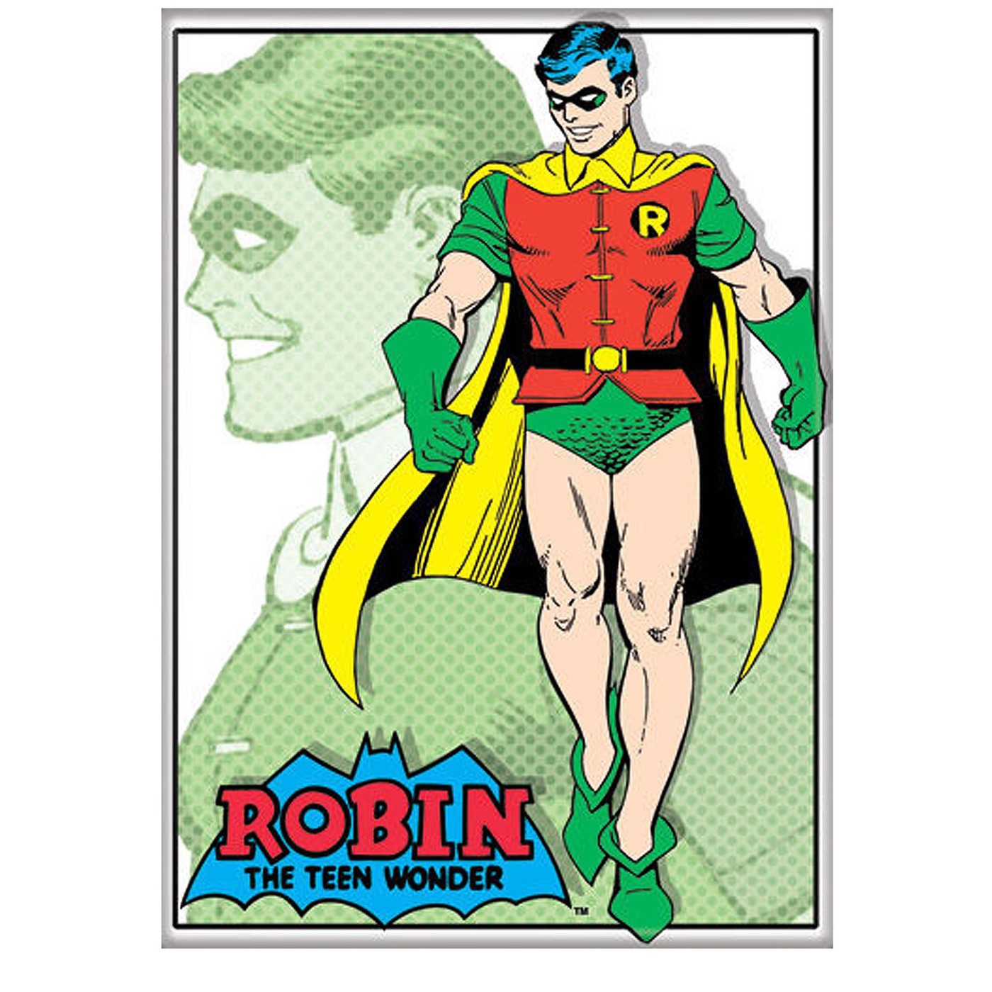 Robin the Teen Wonder Magnet