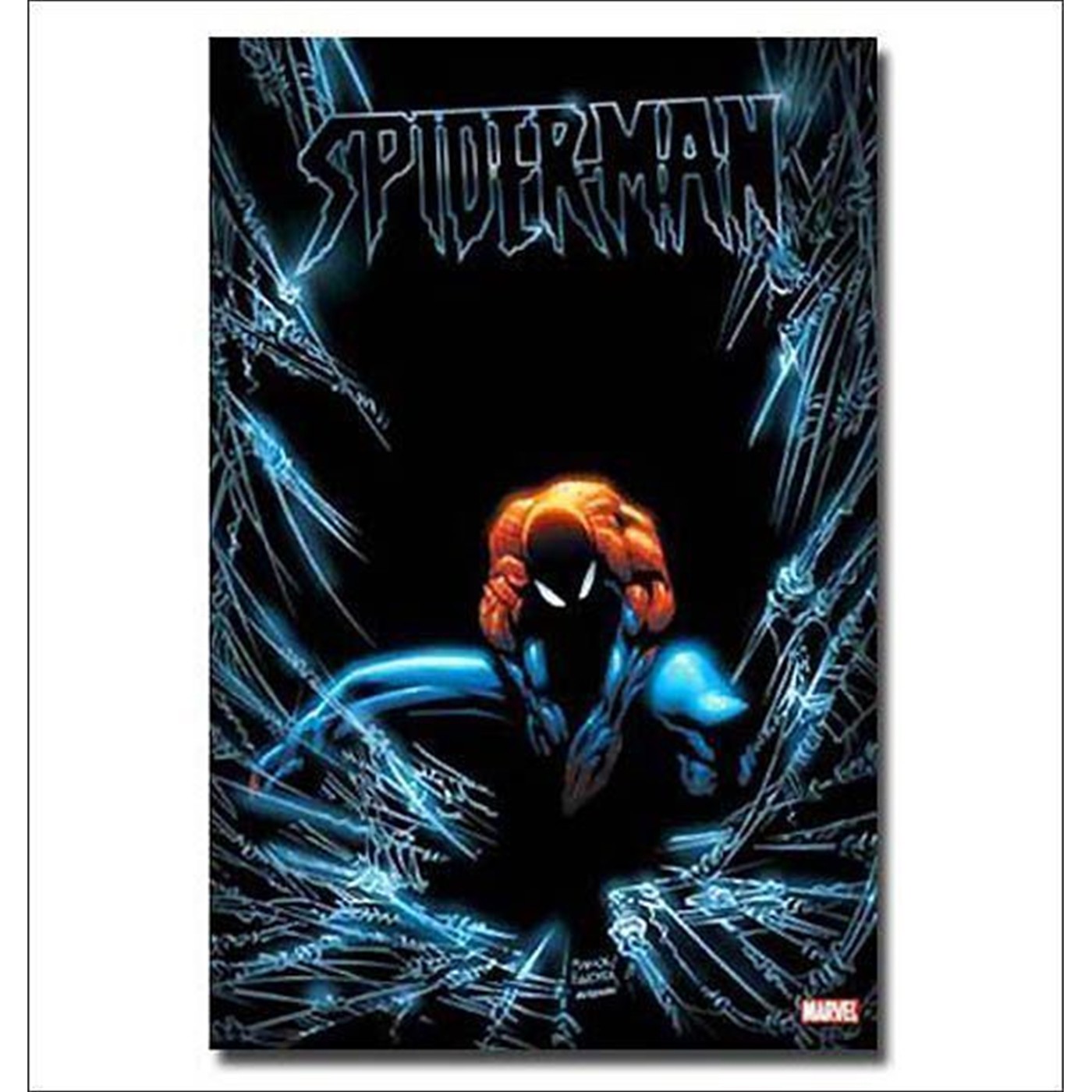 Spiderman Webbed in the Dark Poster