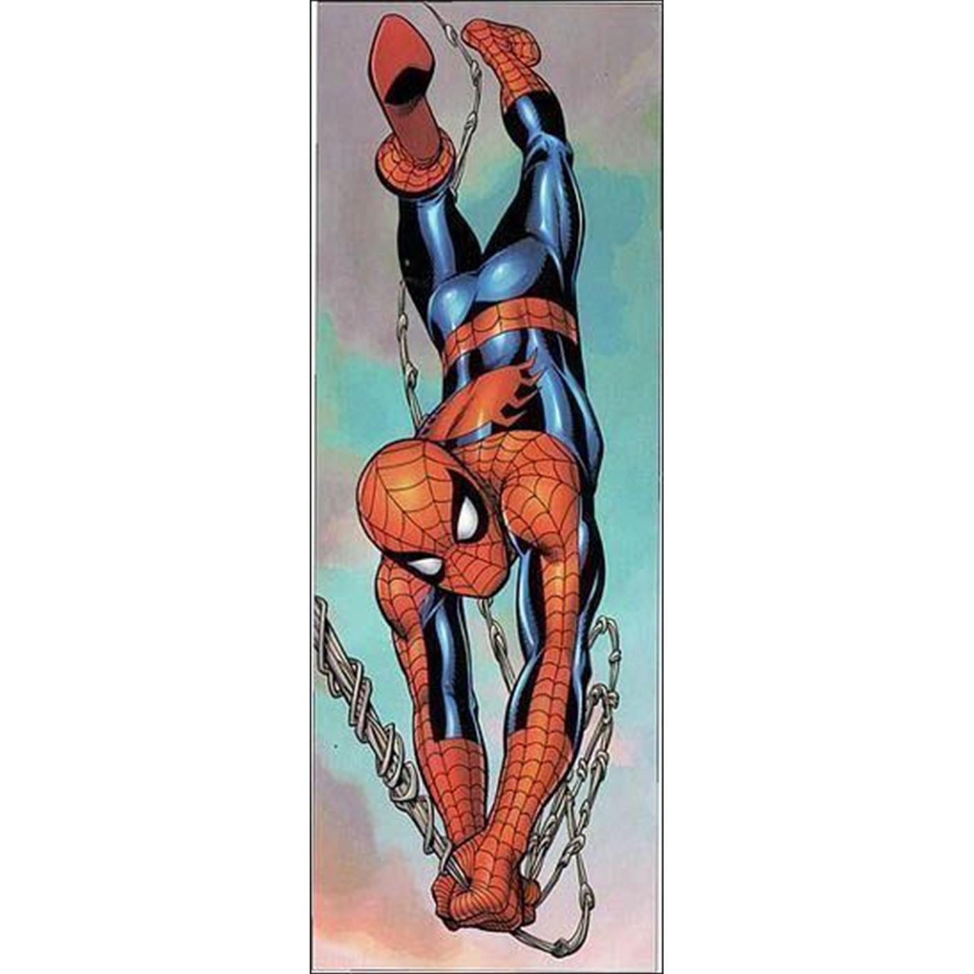 Spiderman Door Poster