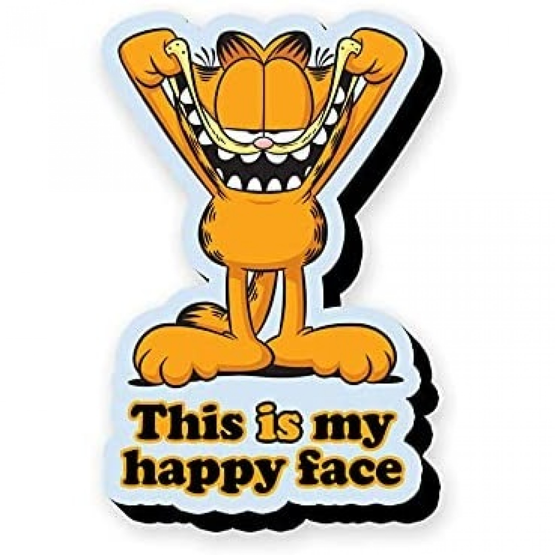 Garfield The Cat Cartoon This Is My Happy Face Magnet