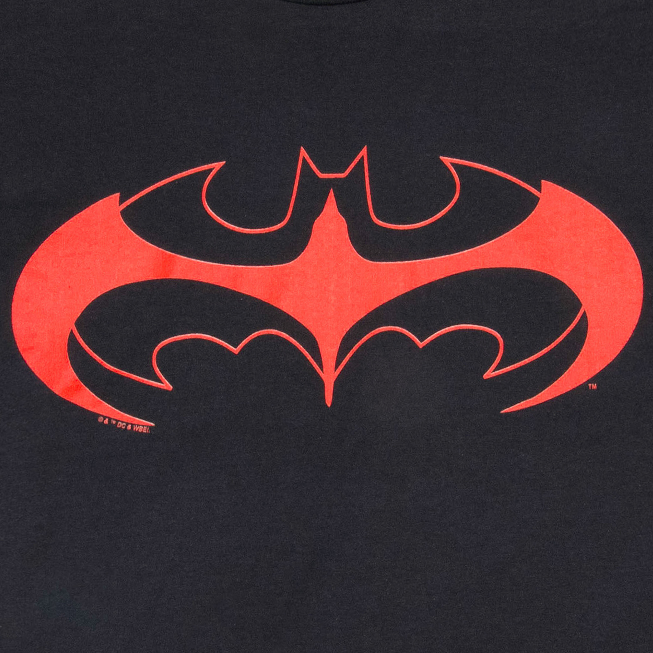 Batman and Robin Logo T-Shirt