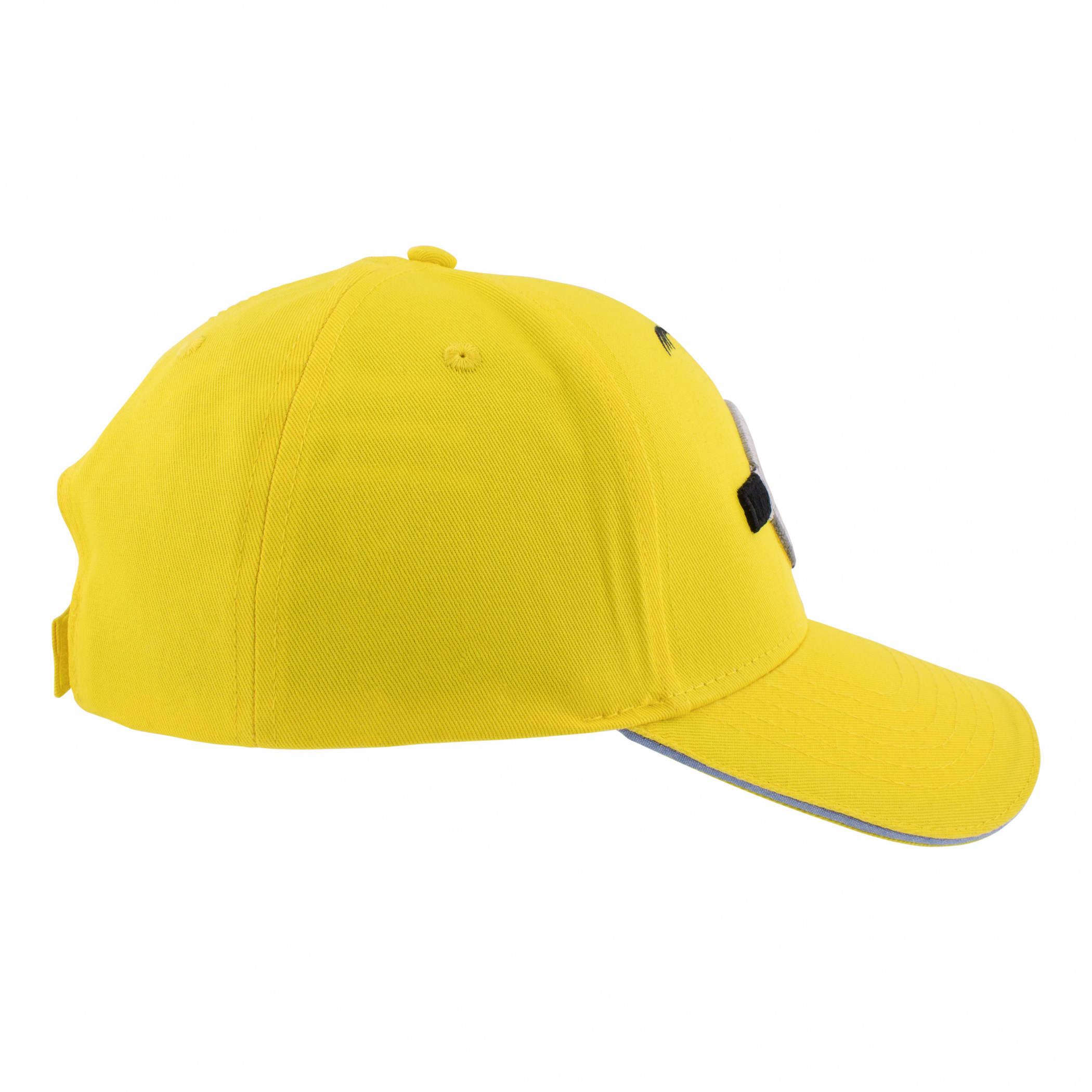 Minions Sarcastic Stare Adjustable Adult Hat