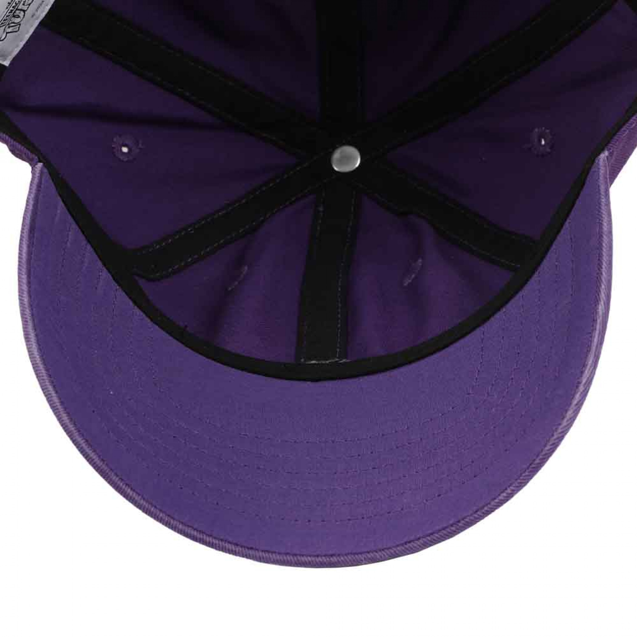 Teenage Mutant Ninja Turtles Donatello Pixel Icon Embroidered Dad Hat