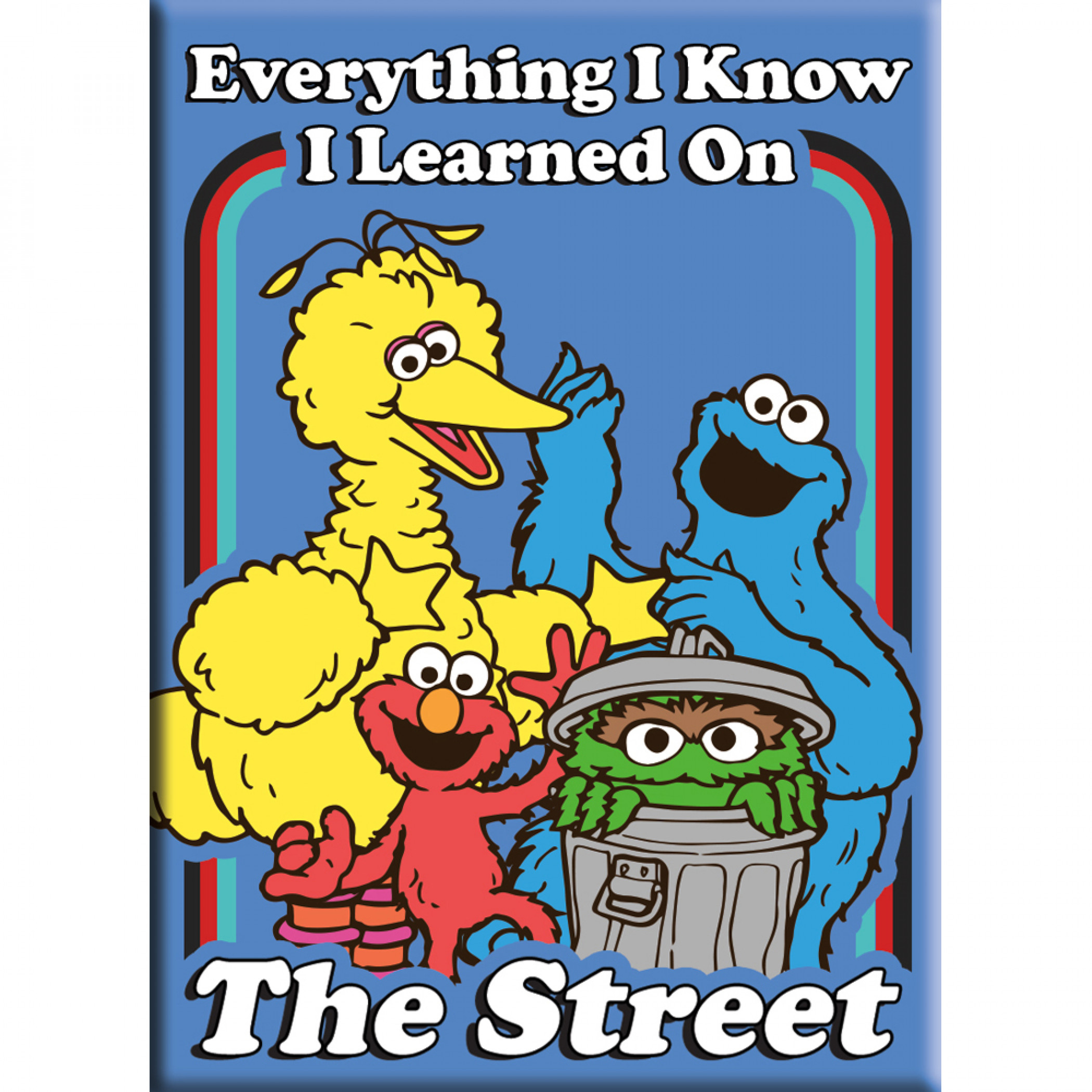 Sesame Street Everything I Learned Magnet