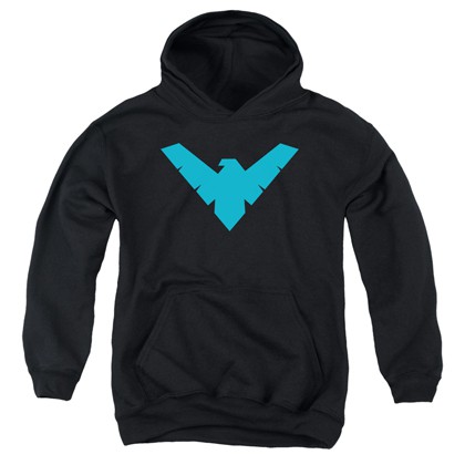 Nightwing Youth Hoodie