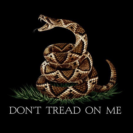 Don't Tread On Me USA Patriotic Black Long Sleeve Graphic TShirt