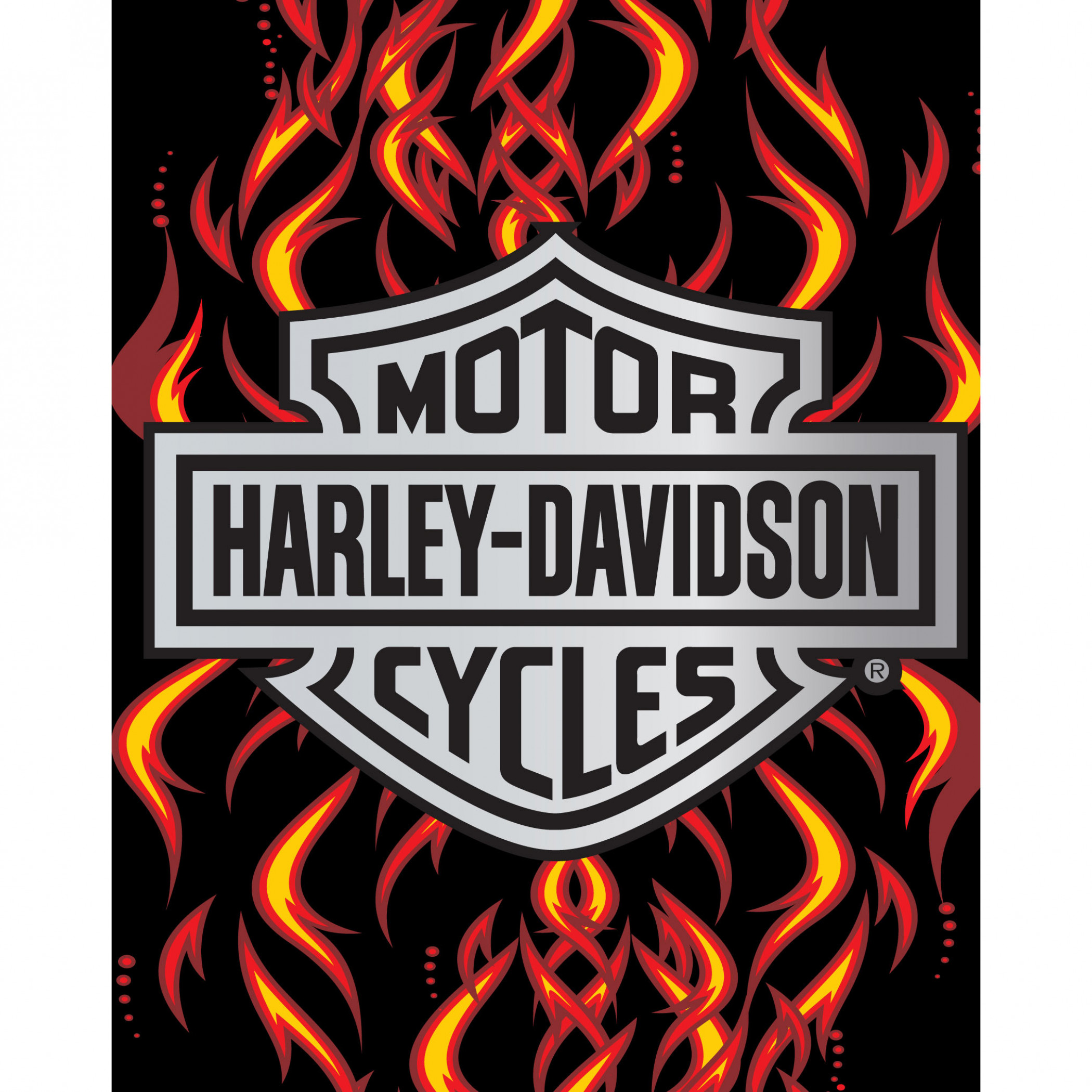 Harley Davidson Flames 54x68 Beach Towel