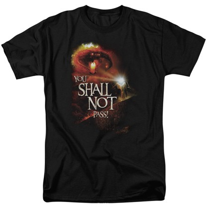 Lord Of The Rings You Shall Not Pass Tshirt