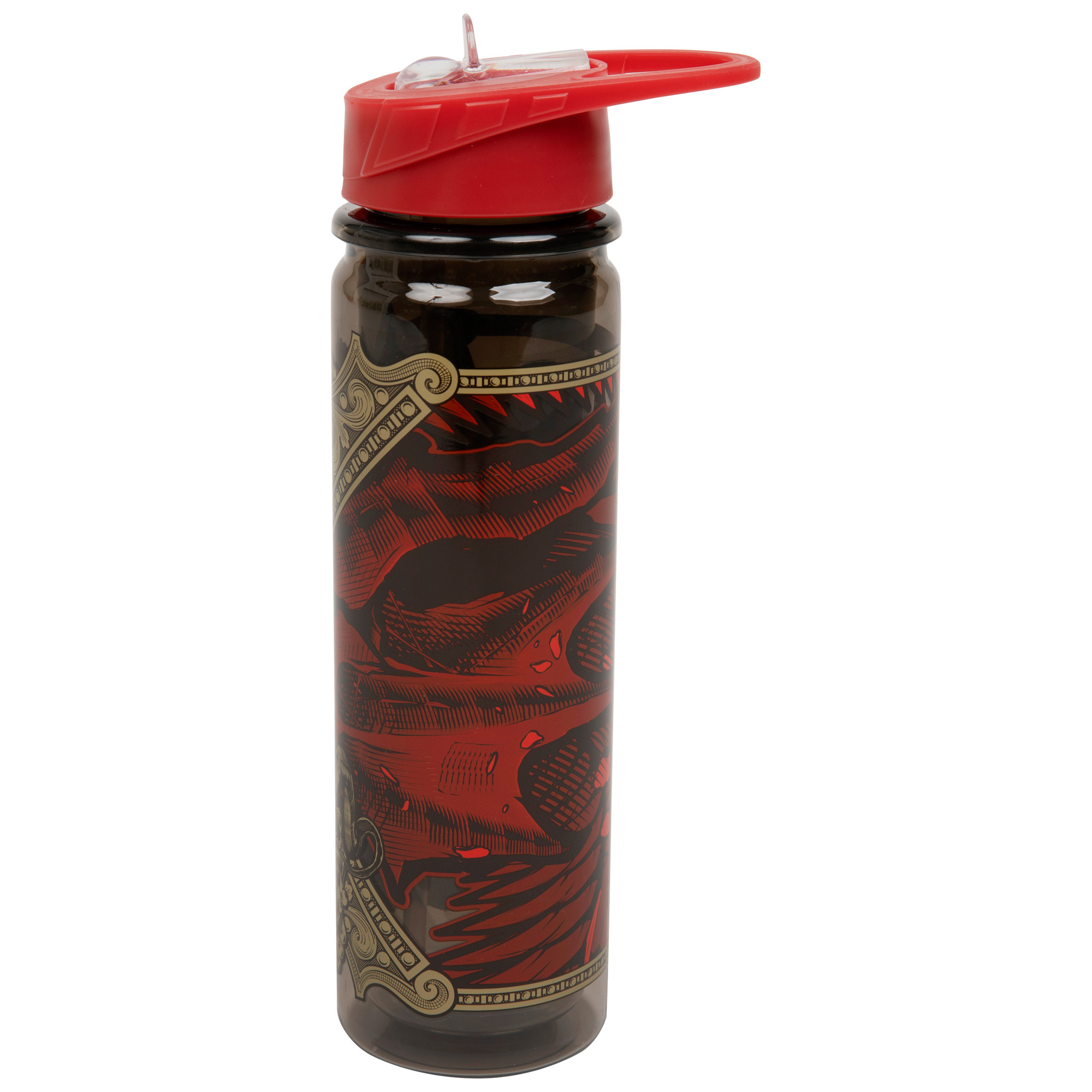 Dungeons and Dragons Dragon Wrap 20 Oz Water Bottle