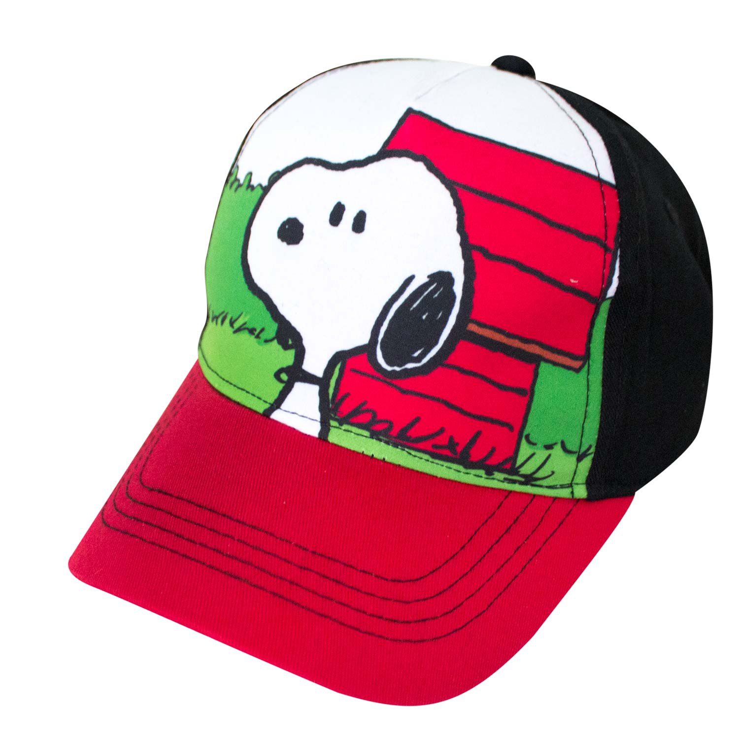 Snoopy Dog House Youth Hat