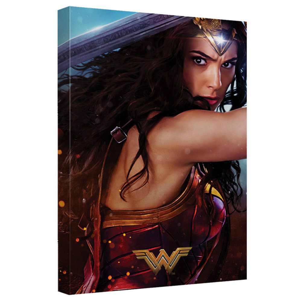 Wonder Woman Ready For Battle 16x20 Canvas Print