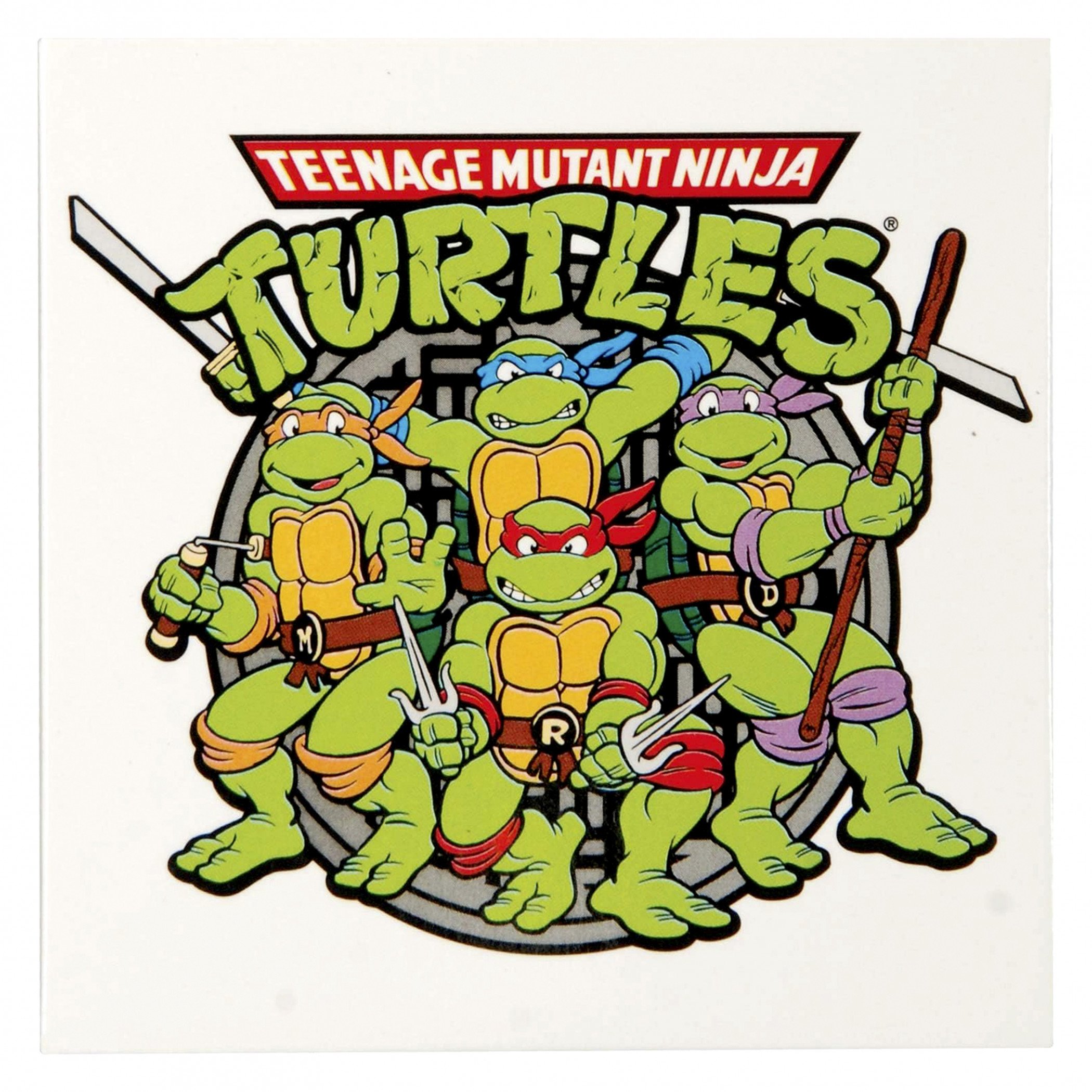 Teenage Mutant Ninja Turtles Group Graphic Magnet