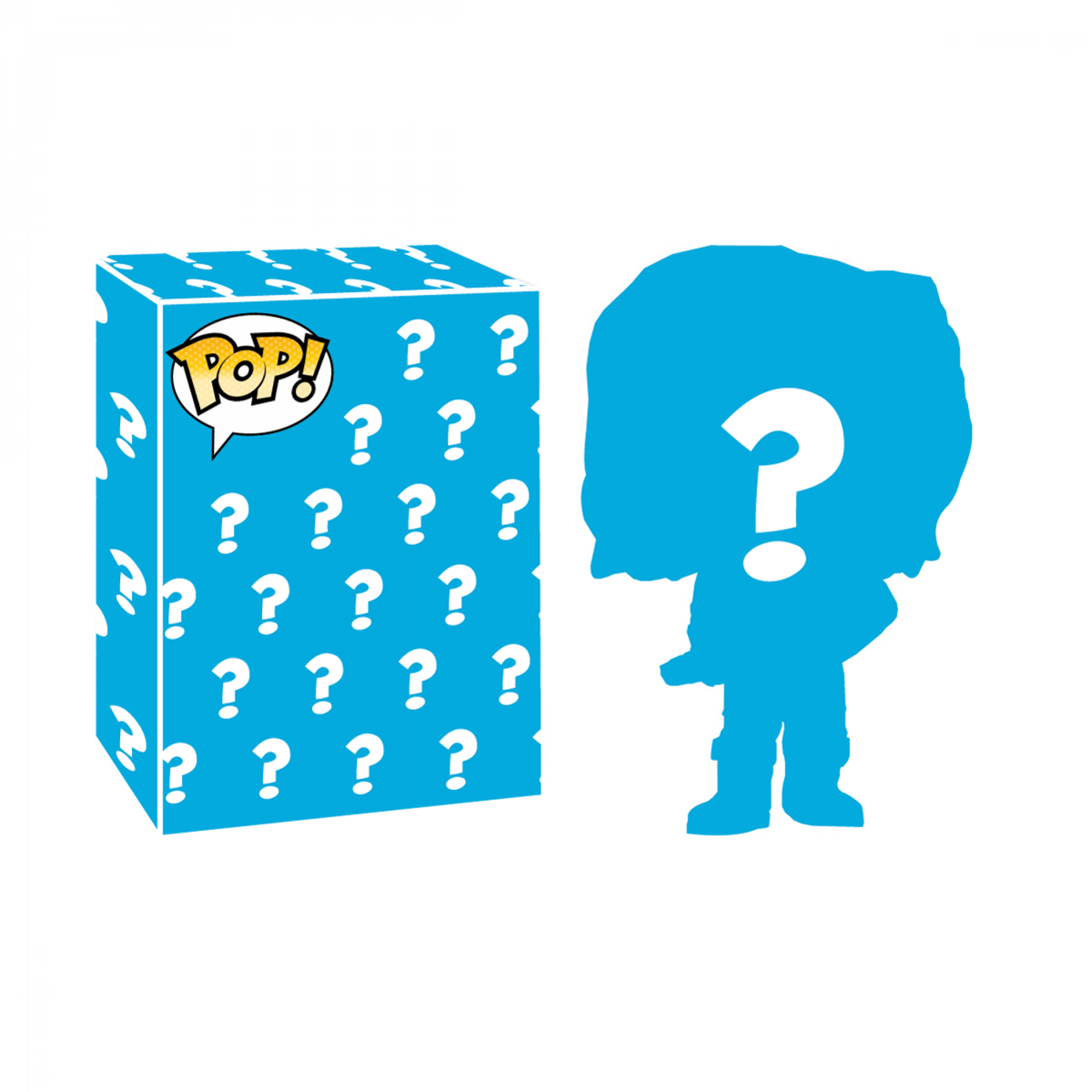 Mystery Funko Pop! Vinyl Figure