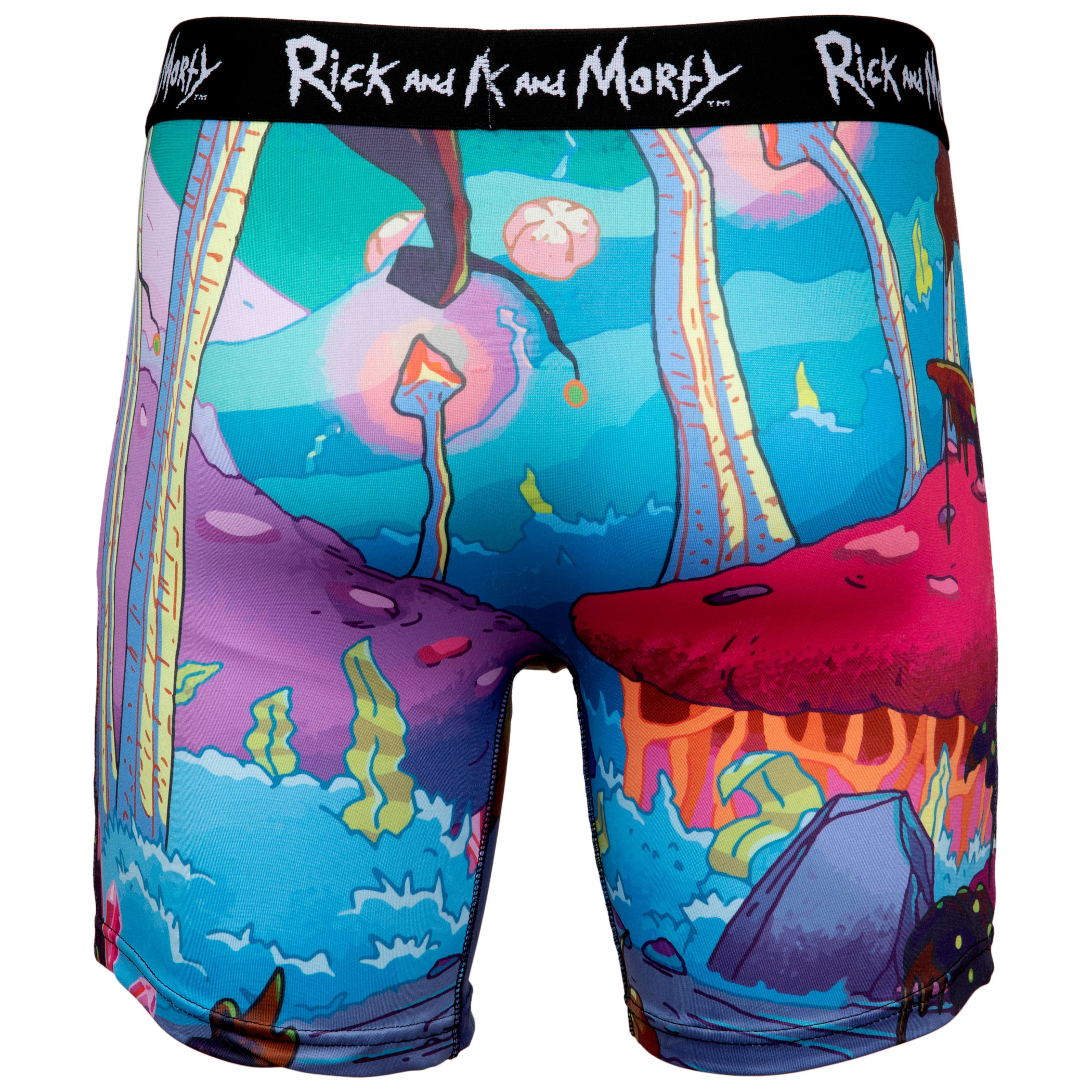 Rick and Morty Pickle Rick All Over Print Boxer Briefs-XLarge (40