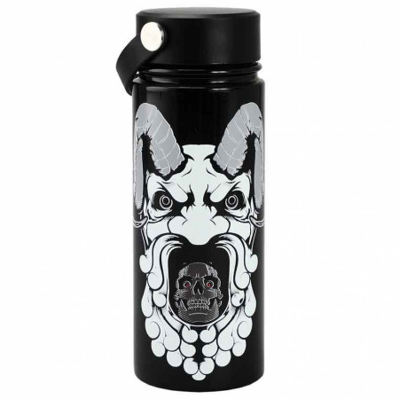 Dungeons & Dragons 17 oz. Stainless Steel Water Bottle