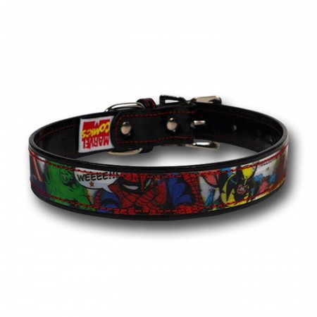 Marvel Heroes Dog Collar/Leash Combo