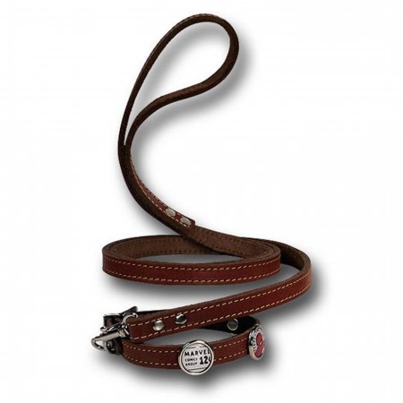 Spider-Man Dog Collar/Leash Combo