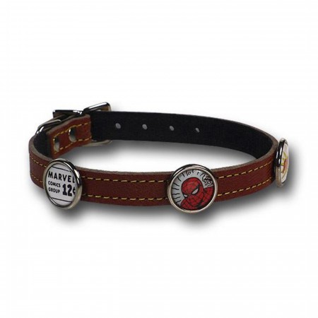 Spider-Man Dog Collar/Leash Combo