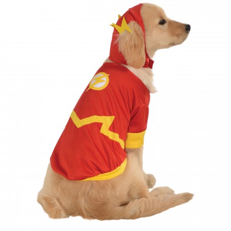 Flash Pet Costume