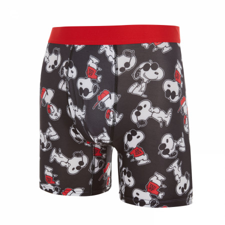 Snoopy Joe Cool Men's Boxer Briefs in Dog Bowl Packaging