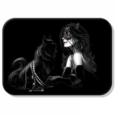 Catwoman Anne Hathaway Tin Magnet