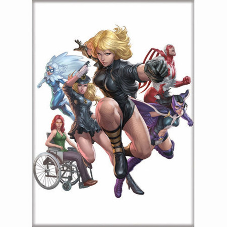 DC Comics Birds of Prey Magnet