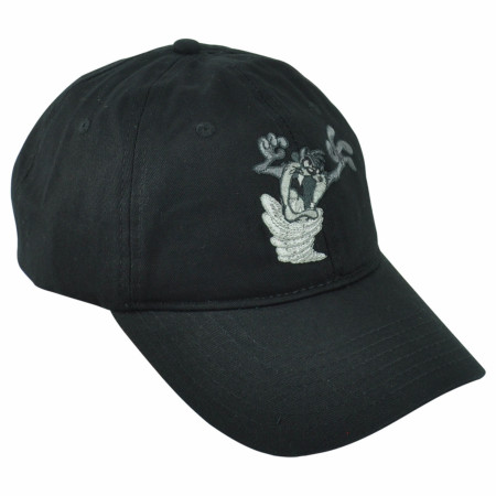 Looney Tunes Tasmanian Devil Embroidered Snapback Hat