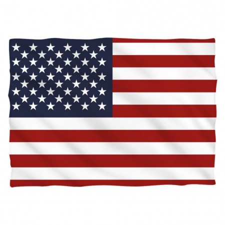 American Flag Patriotic Pillow Case