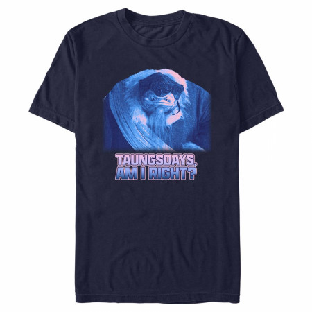 Star Wars The Mandalorian Taungsday Am I Right? T-Shirt