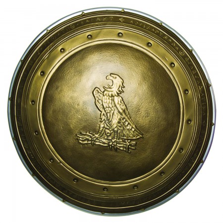 Wonder Woman Gold Shield Costume Accessory